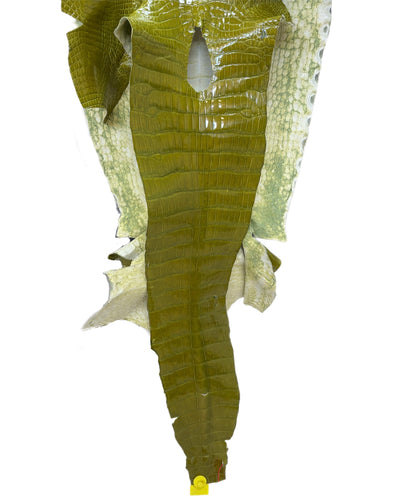 CLOSEOUT | 41 cm Grade 2/3 Muguet Glazed Wild American Alligator Leather - Tag: CCIT-0539955