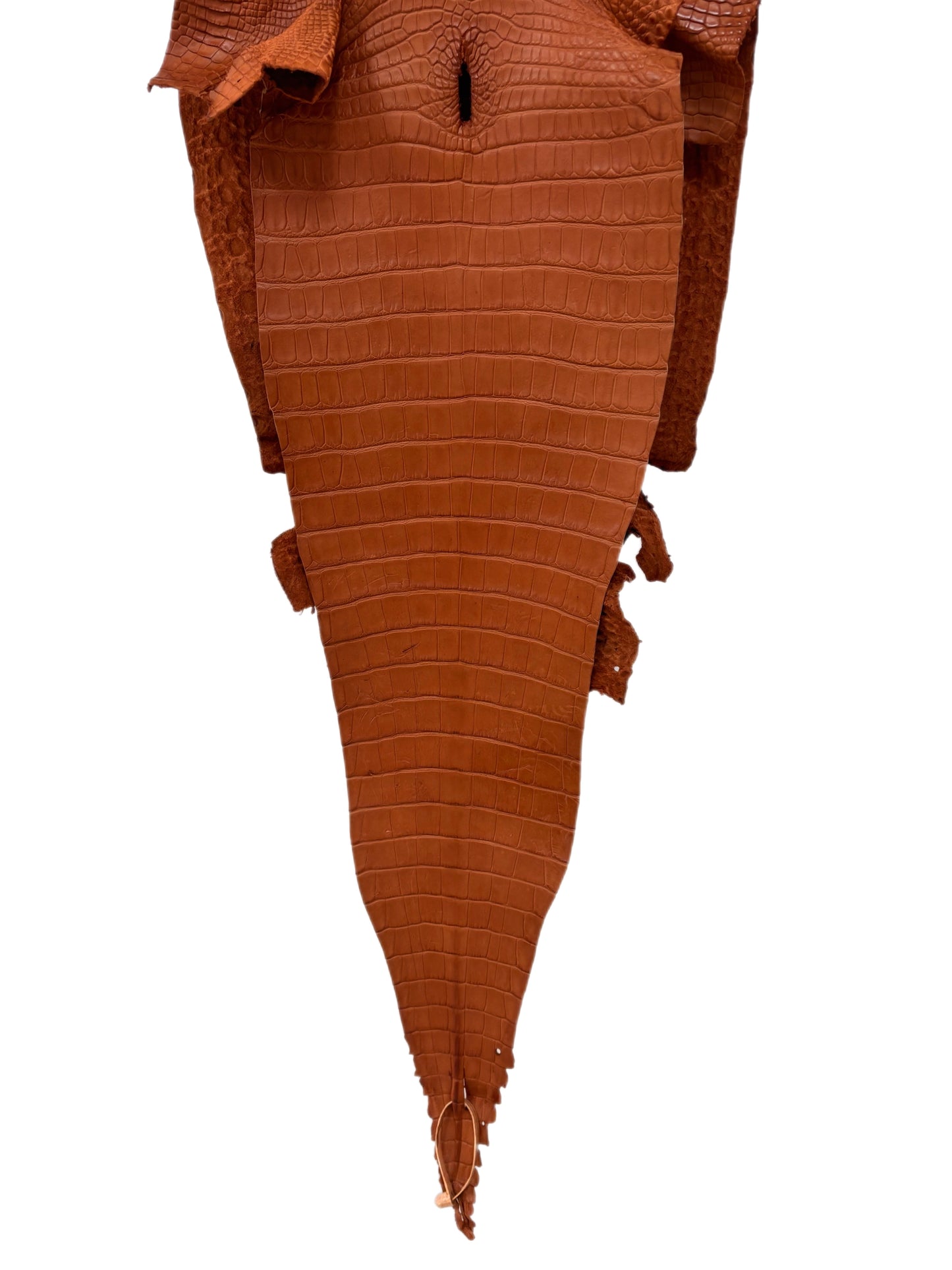 36 cm Grade 2/3 Cognac Matte Farm-Raised American Alligator Leather - Tag: FL17-0052643
