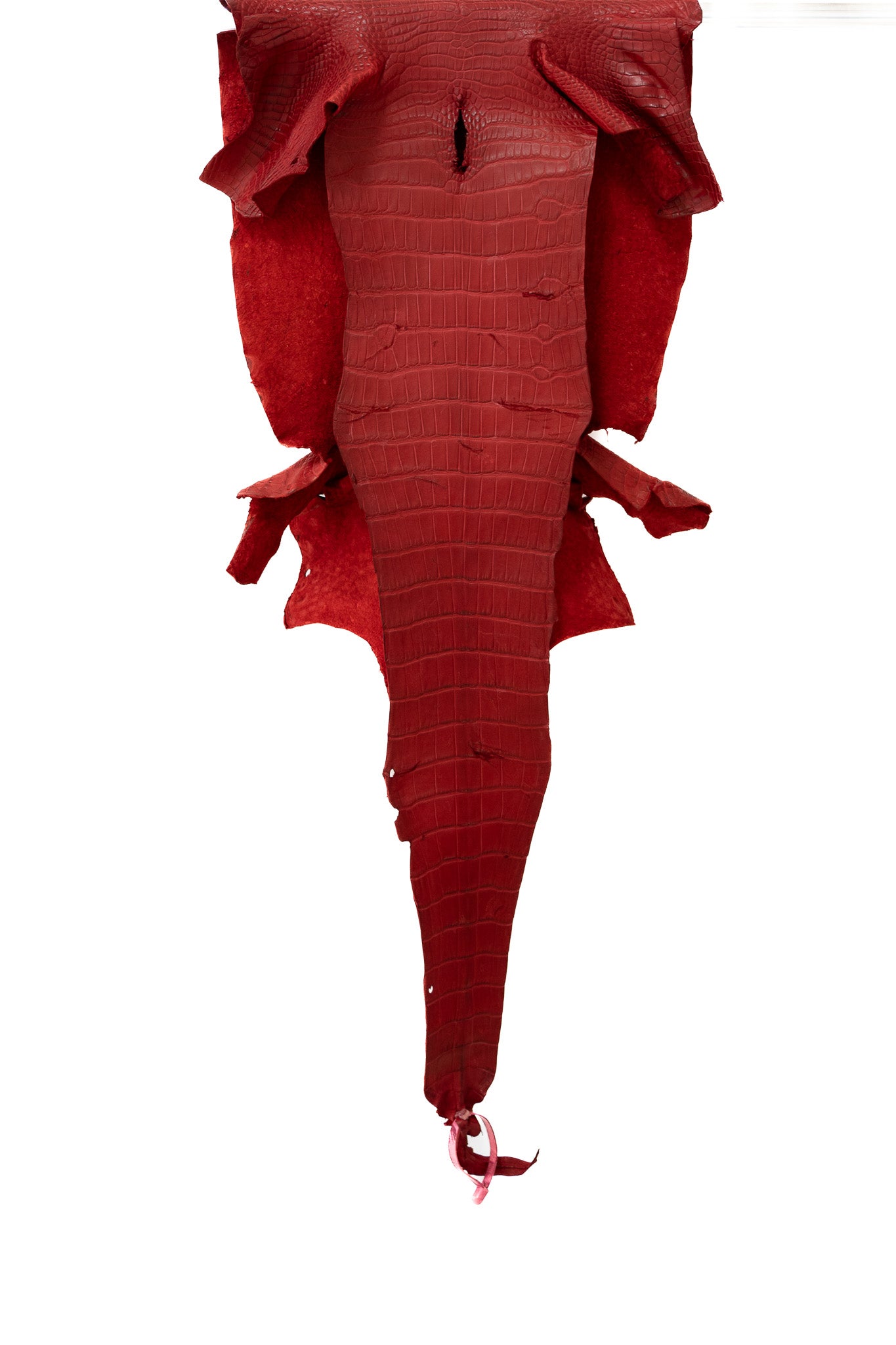 38 cm Grade 2/3 Candy Apple Red Matte Farm Raised American Alligator Skin - Tag: LA21-0122669