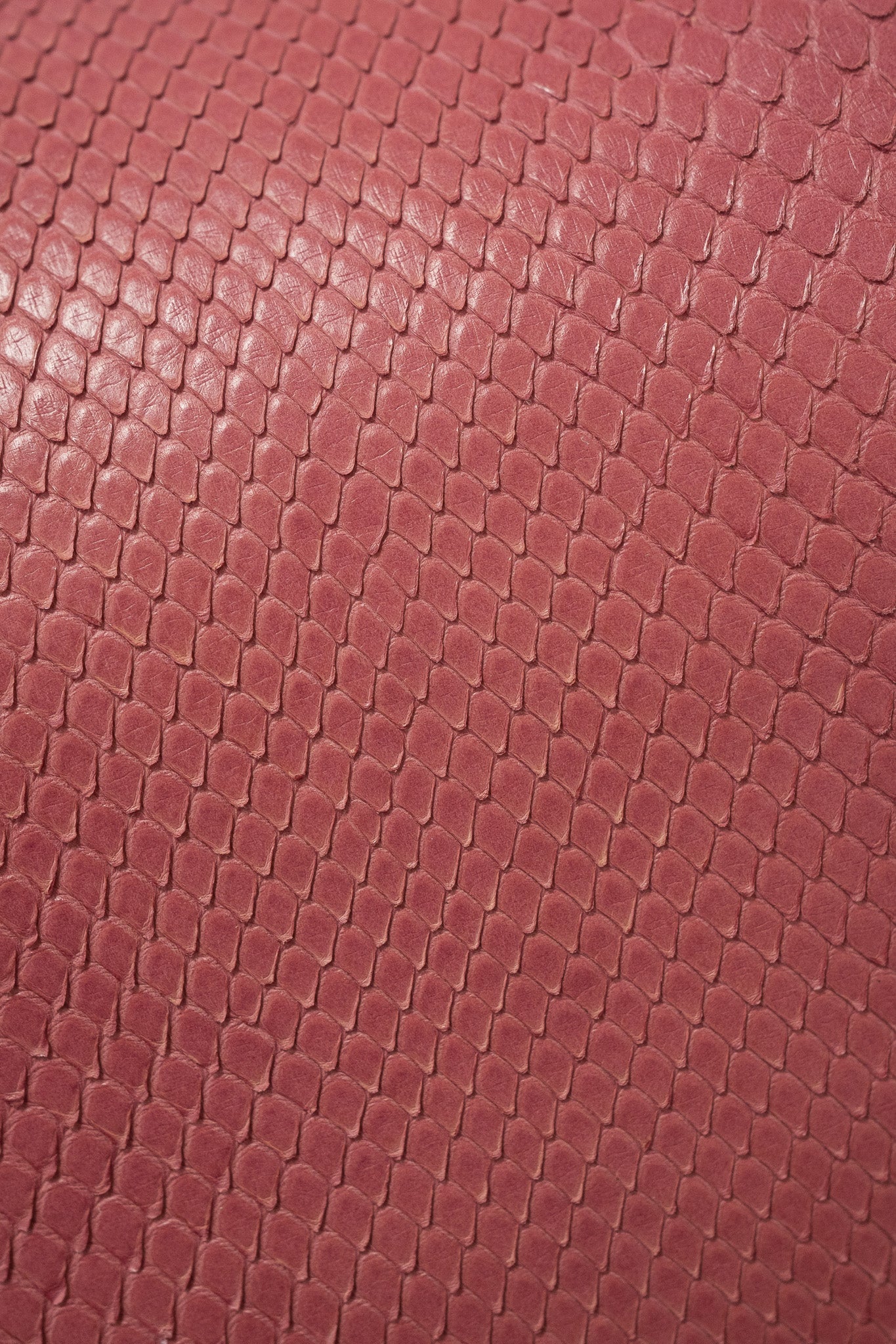 Leather | Leather Fabric | Alligator Leather | Exotic Leather | Python ...