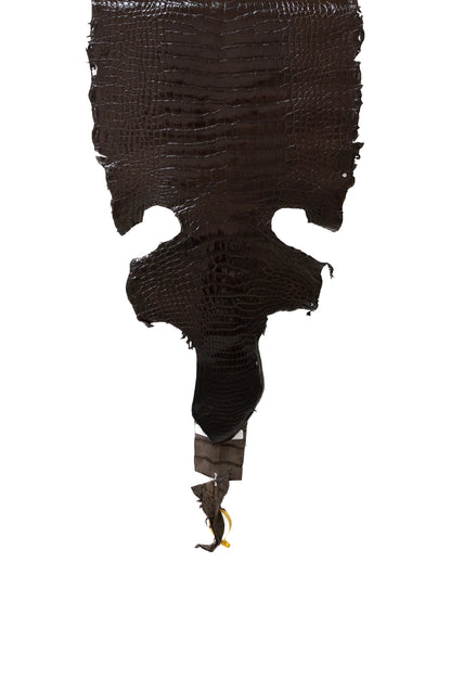 46 cm Grade 3/4 Chocolate Millennium Wild American Alligator Leather - Tag: LA22-0030426