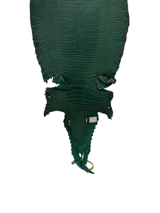 22 cm Grade 3/4 Forest Green Matte Farm Raised American Alligator Leather - Tag: FL22-0030047