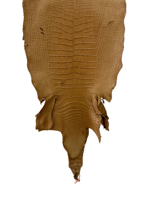 39 cm Grade 4/5 Antique Saddle Matte Wild American Alligator Leather - Tag: LA18-0033284