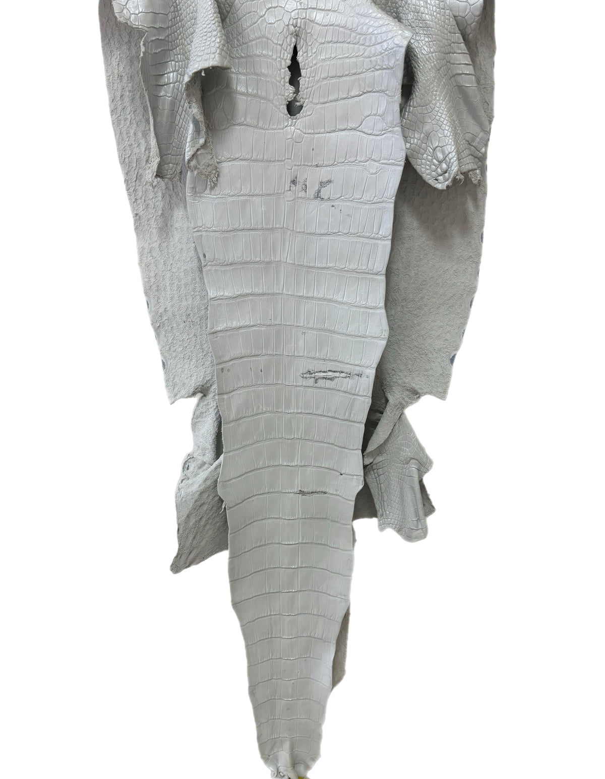 49 cm Grade 1/2 White Pearl Matte Wild American Alligator Leather - Tag: LA25-0015344