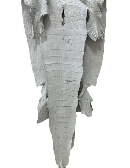 49 cm Grade 1/2 White Pearl Matte Wild American Alligator Leather - Tag: LA25-0015344