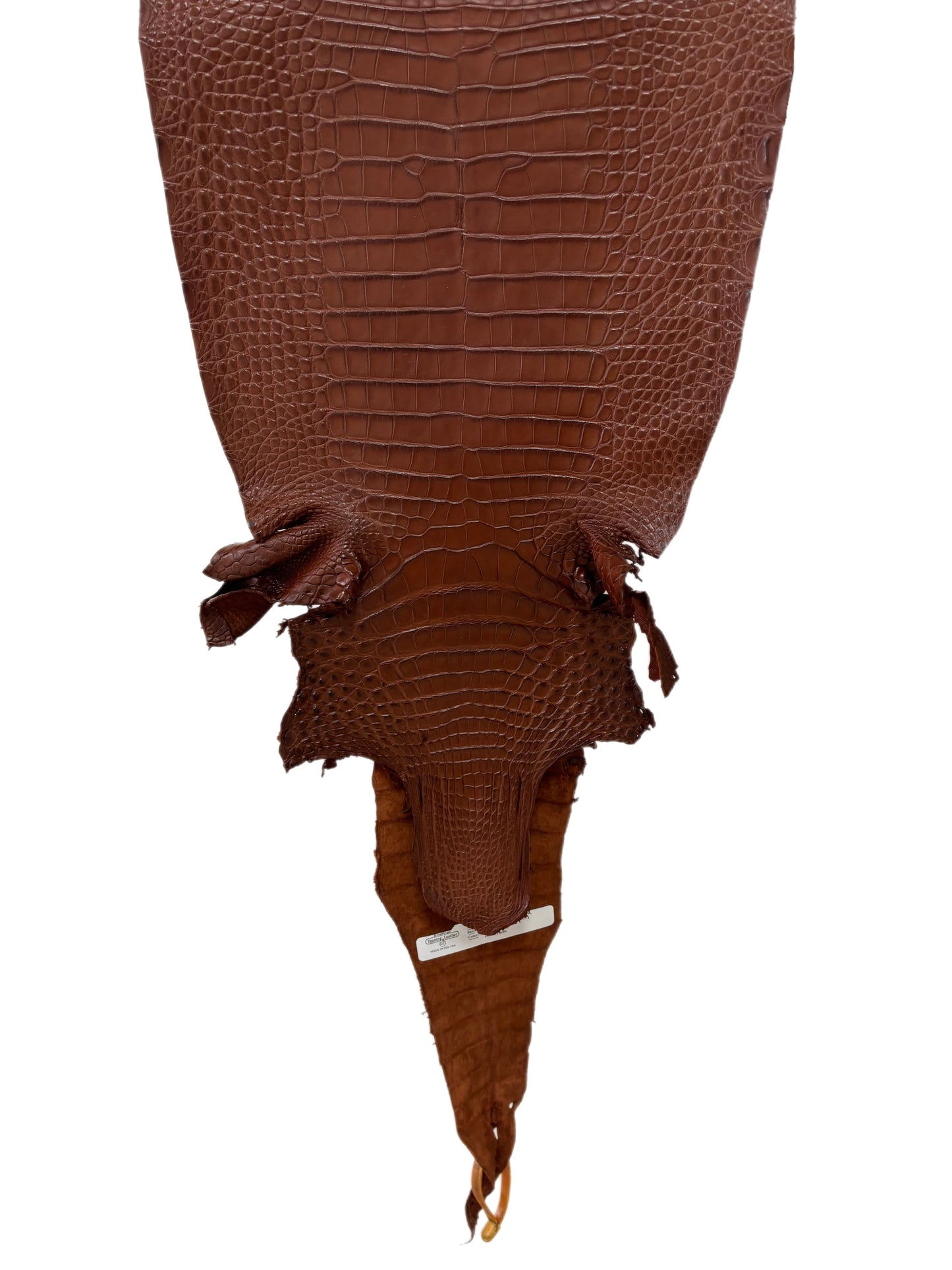 32 cm Grade 2/3 Rodeo Matte Farm-Raised American Alligator Leather - Tag: FL17-0036412