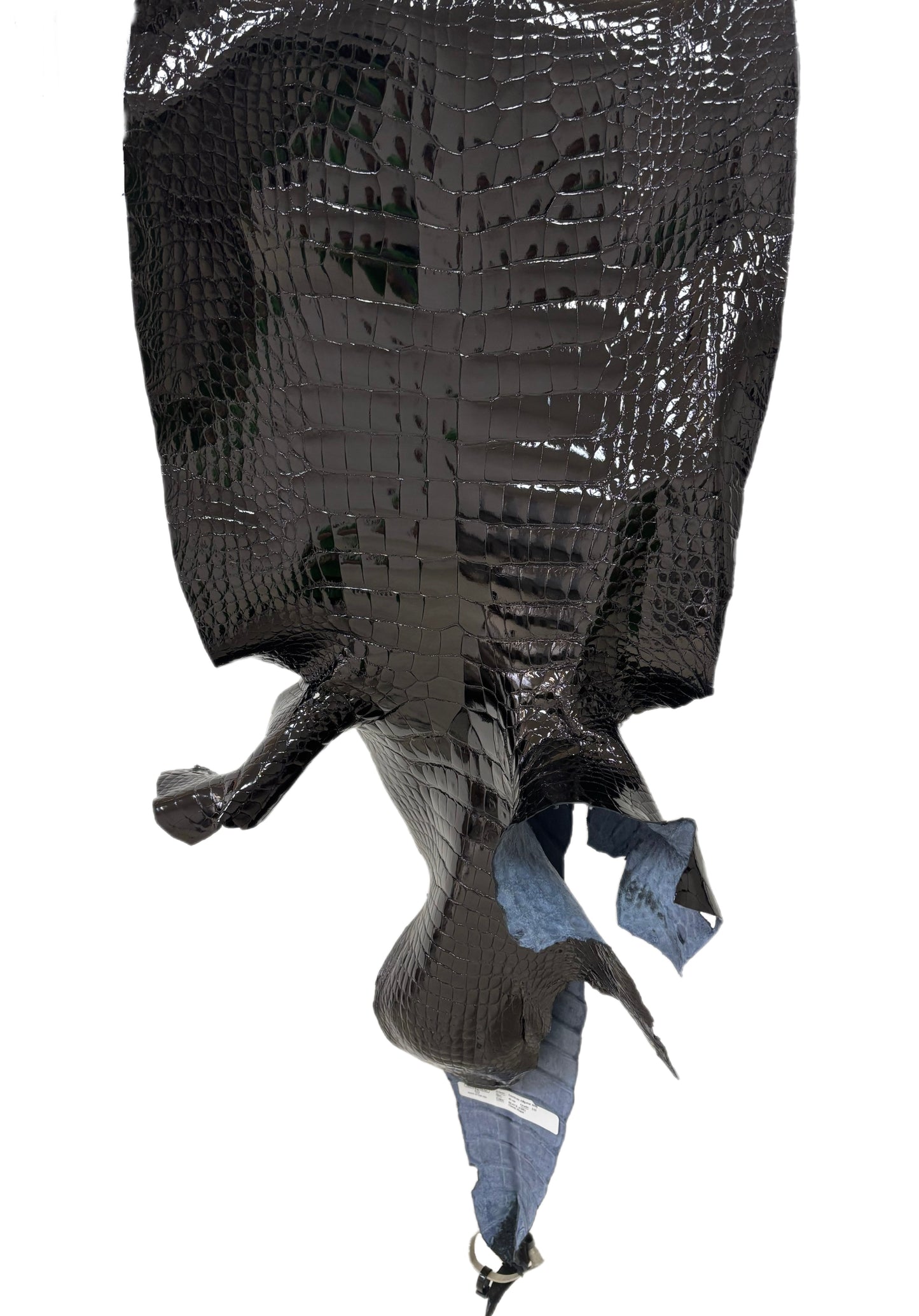 40 cm Grade 1/2 Black Glazed Wild American Alligator Leather - Tag: LA23-0007164
