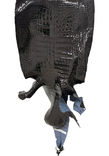 40 cm Grade 1/2 Black Glazed Wild American Alligator Leather - Tag: LA23-0007164