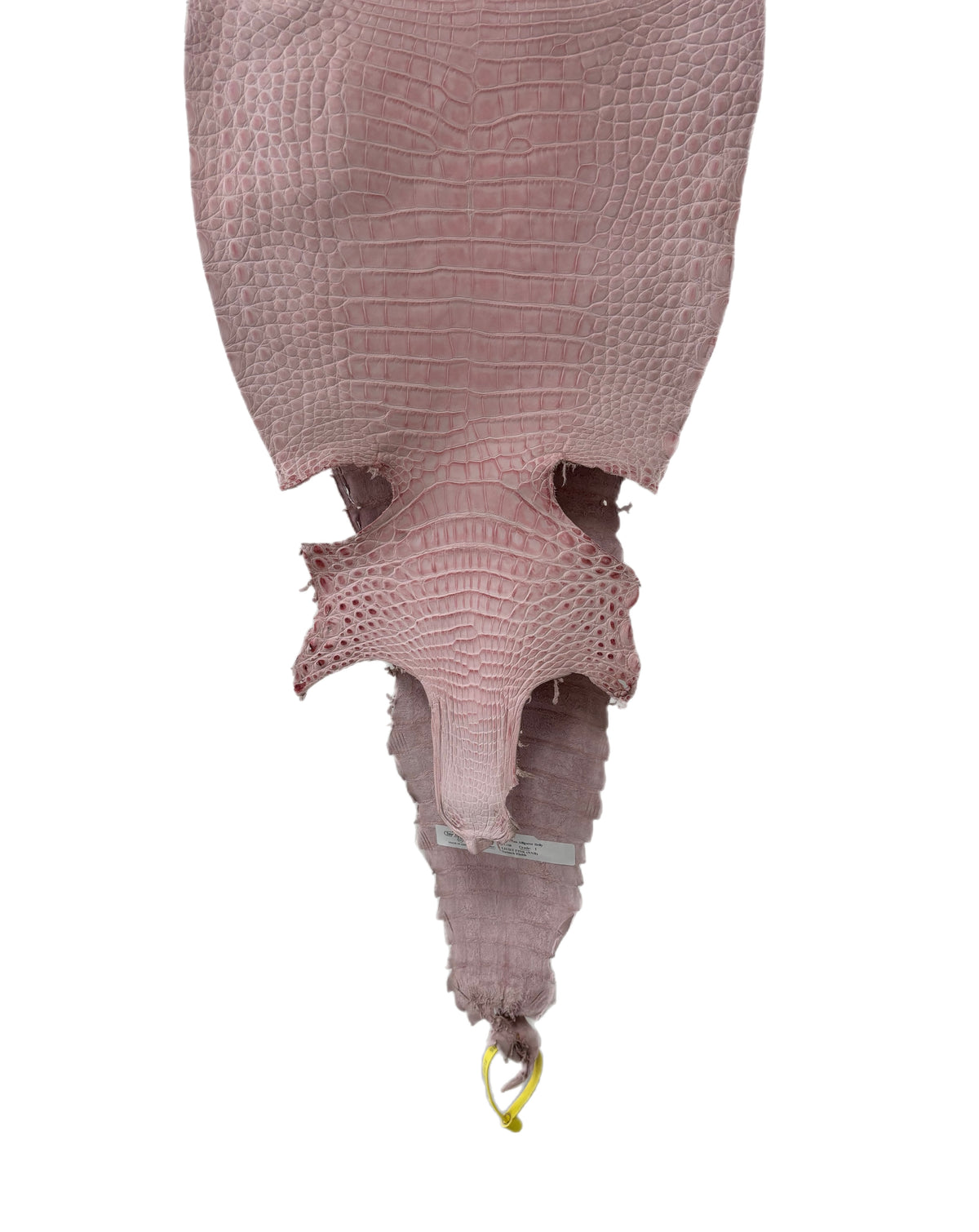 New Color and Finish! 30 cm Grade 1 Light Pink Nubuck Farm-Raised American Alligator Leather - Tag: FL22-0030076