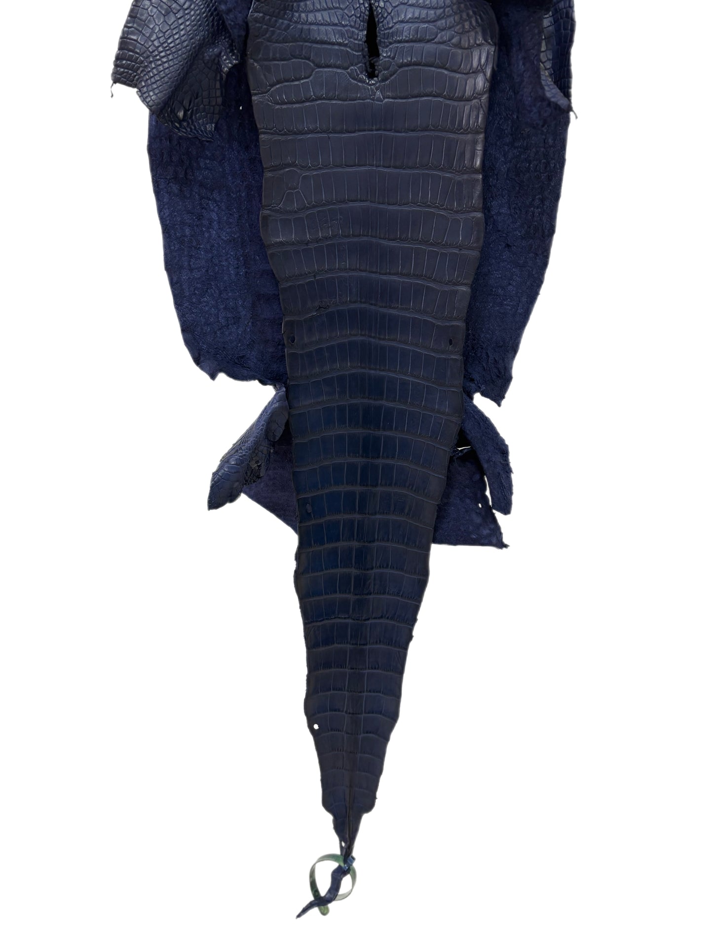 32 cm Grade 2/3 Navy Blue Desert Wild American Alligator Leather - Tag: LA19-0036811