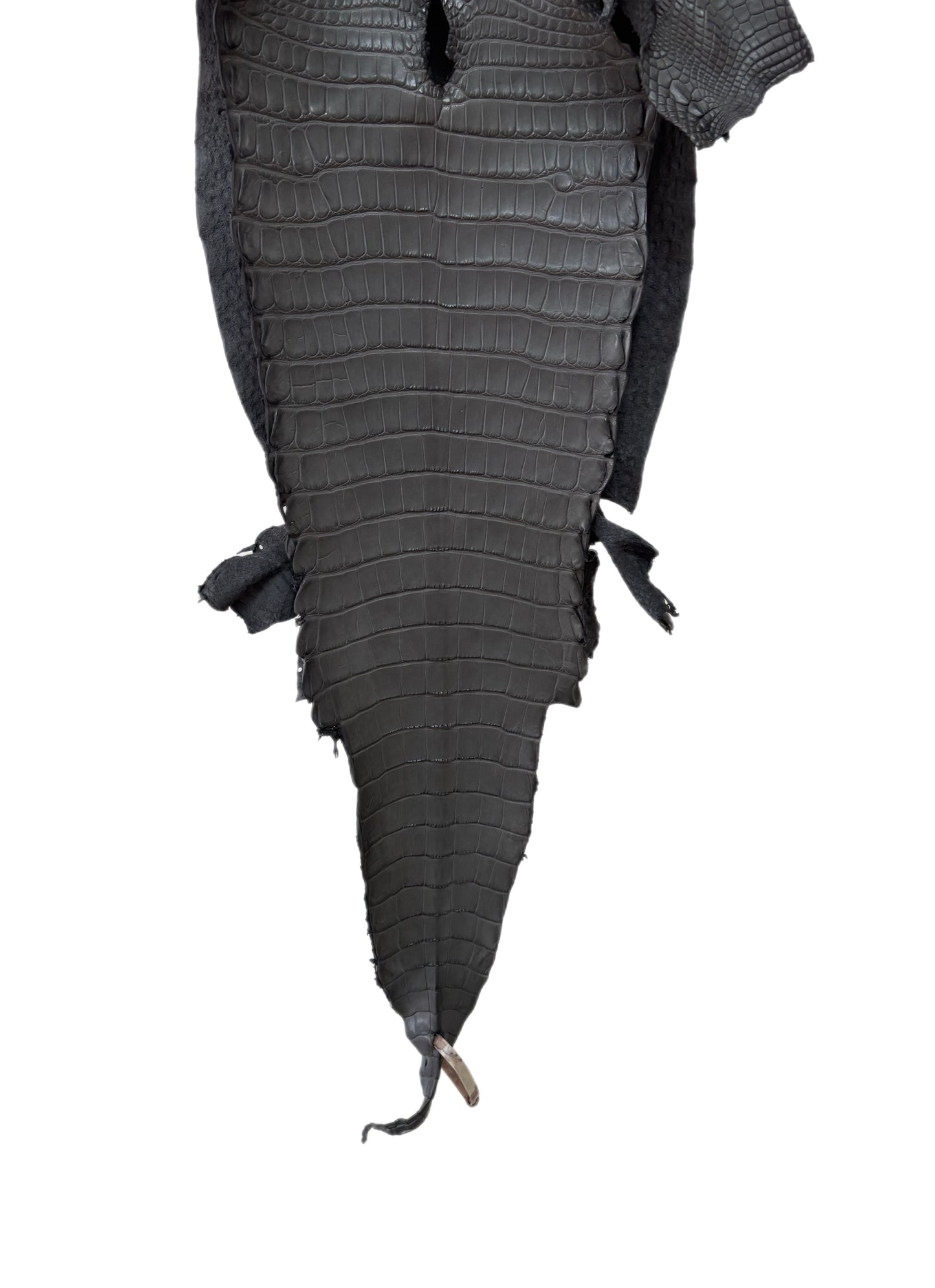31 cm Grade 1/2 Serpentine Grey Matte Farm-Raised American Alligator Leather - Tag: LA17-0274651
