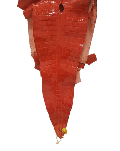 39 cm Grade 2/3 Mandarina Glazed Farm-Raised American Alligator Leather - Tag: GA13-0020287