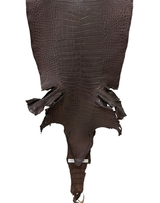 38 cm Grade 2/3 Kralle Brown Matte Wild American Alligator Leather - Tag: LA23-0027713