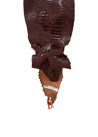 22 cm Grade 2/3 Peanut Glazed Farm-Raised American Alligator Leather - Tag: FL21-0024435