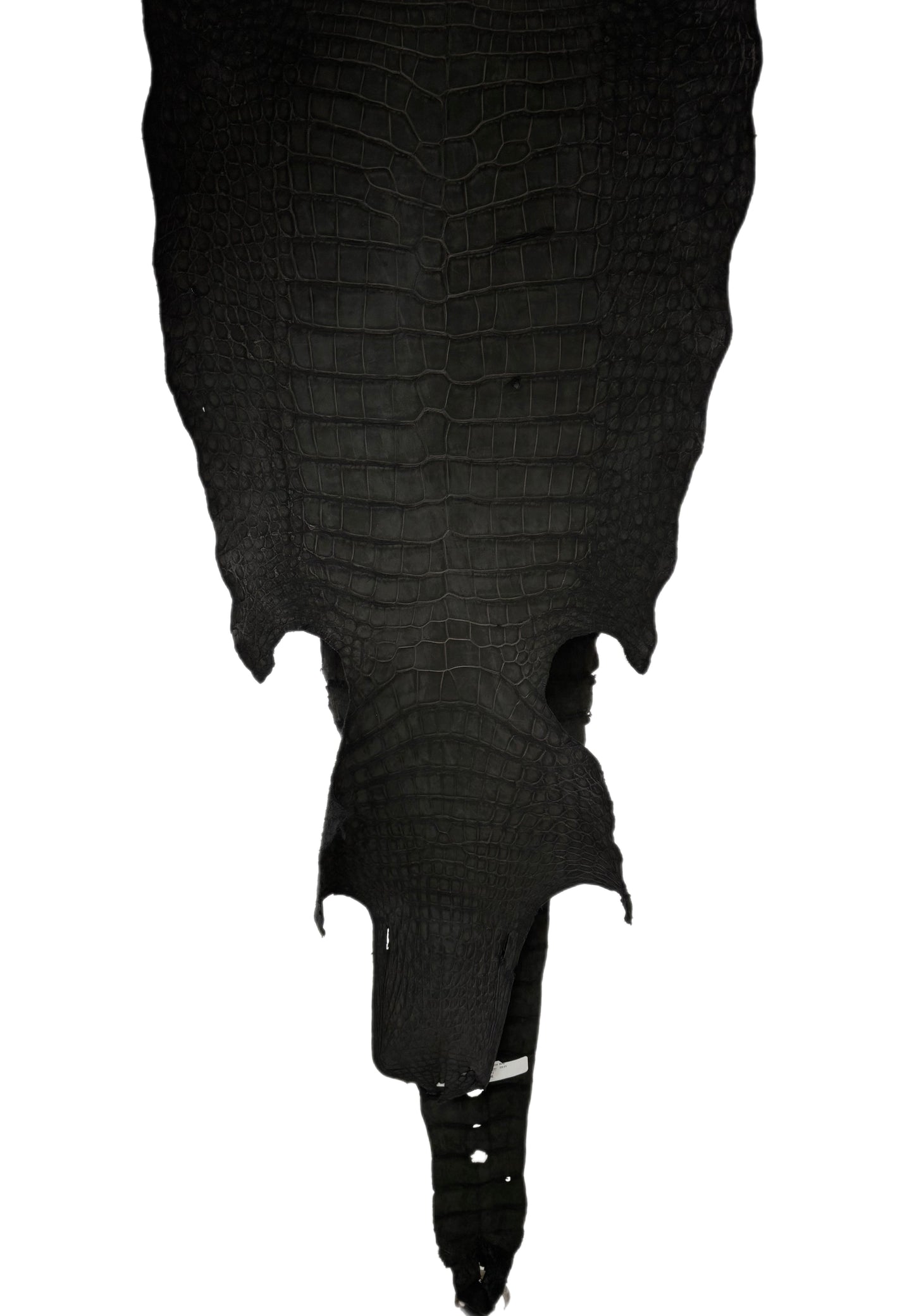 40 cm Grade 3/4 Black Nubuck Wild American Alligator Leather - Tag: LA23-0023030