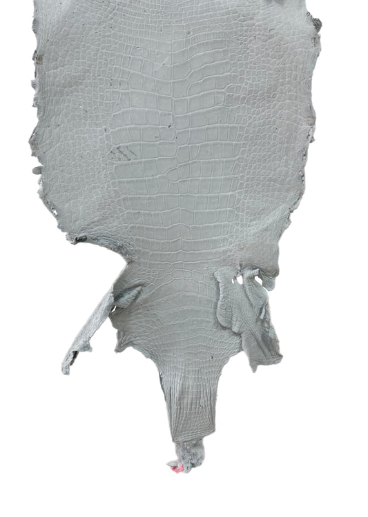48 cm Grade 4/5 White Crust Wild American Alligator Leather - Tag: LA24-0022538
