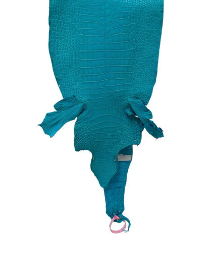 25 cm Grade 1/2 Turquoise Matte Farm-Raised American Alligator Leather - Tag: LA24-0228840