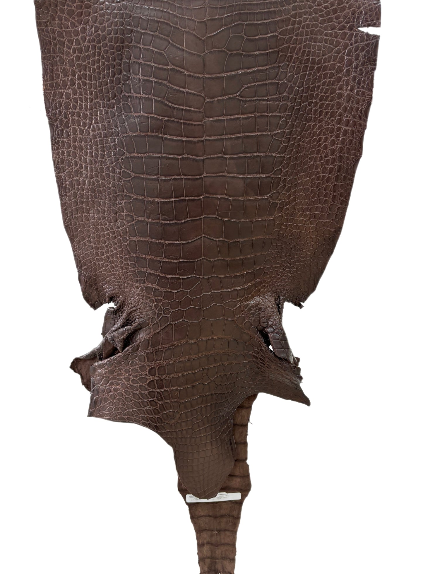 44 cm Grade 3/4 Chocolate Matte Wild American Alligator Leather - Tag: LA23-0027722