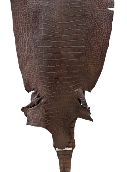 44 cm Grade 3/4 Chocolate Matte Wild American Alligator Leather - Tag: LA23-0027722