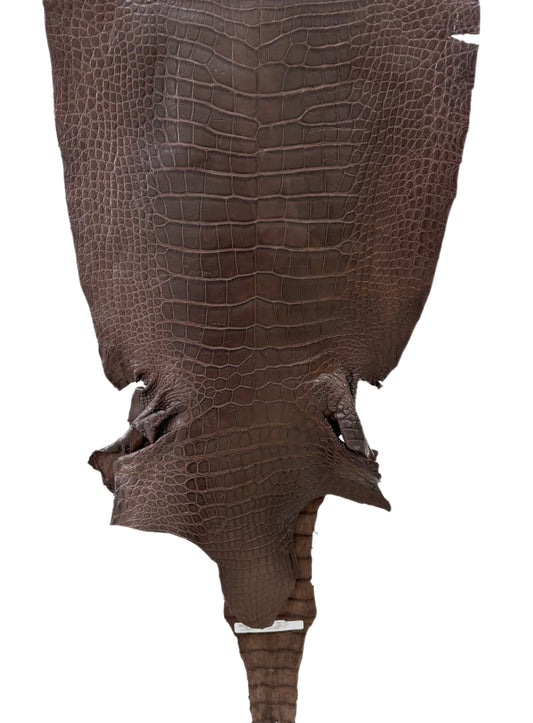 44 cm Grade 3/4 Chocolate Matte Wild American Alligator Leather - Tag: LA23-0027722