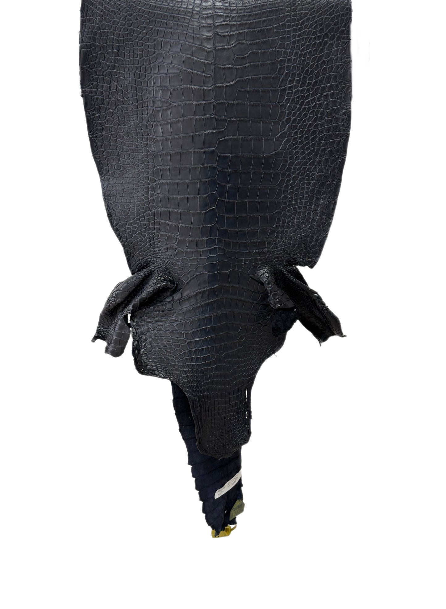 41 cm Grade 1 Navy Blue Matte Wild American Alligator Leather - Tag: ITCC-0730846