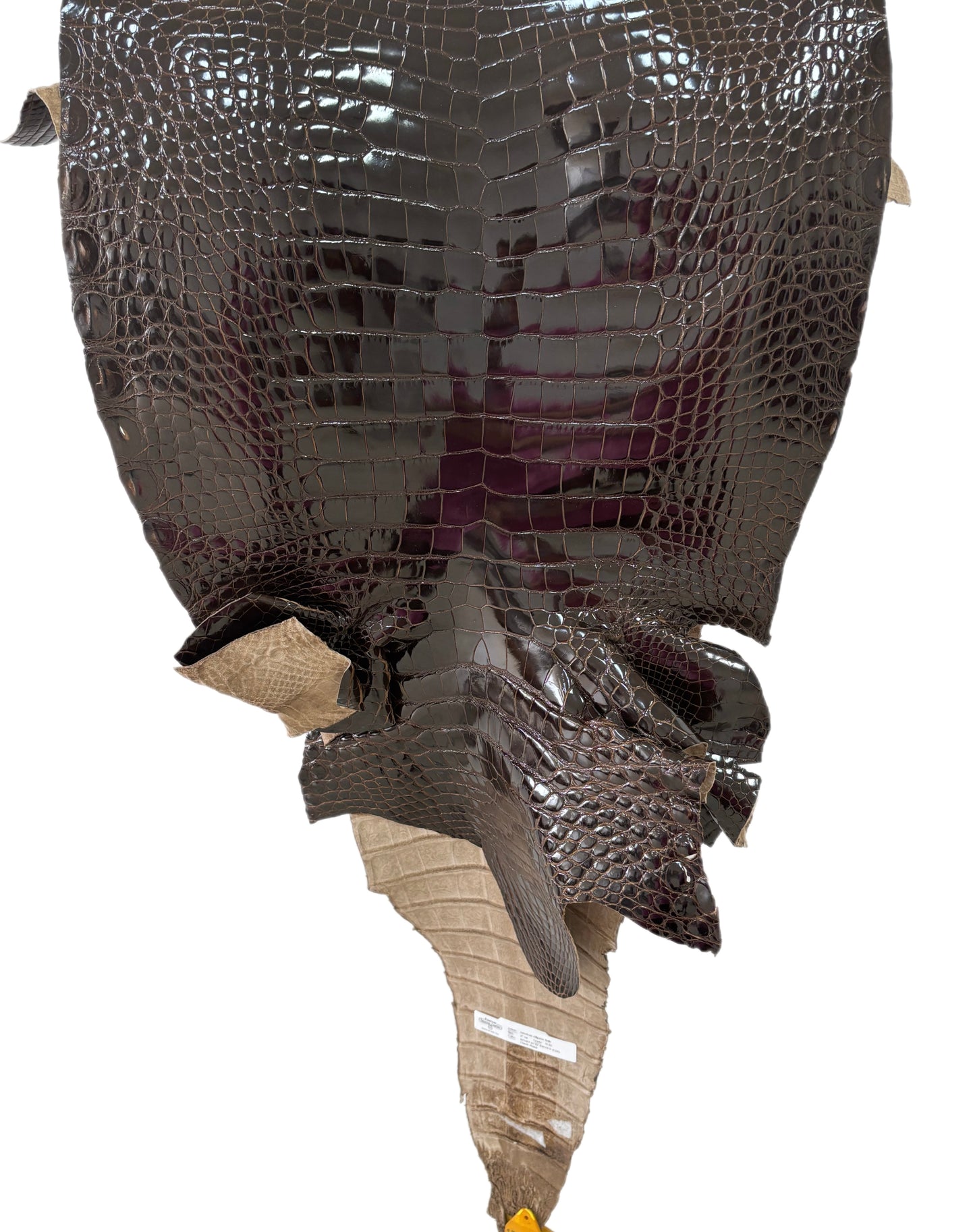 47 cm Grade 2/3 Sport Rust Brown Glazed Farm-Raised American Alligator Leather - Tag: LA12-0136171