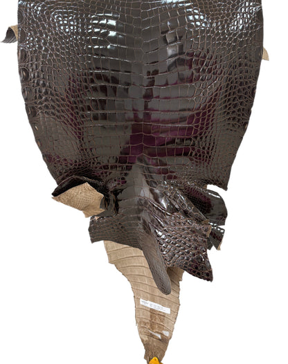 47 cm Grade 2/3 Sport Rust Brown Glazed Farm-Raised American Alligator Leather - Tag: LA12-0136171