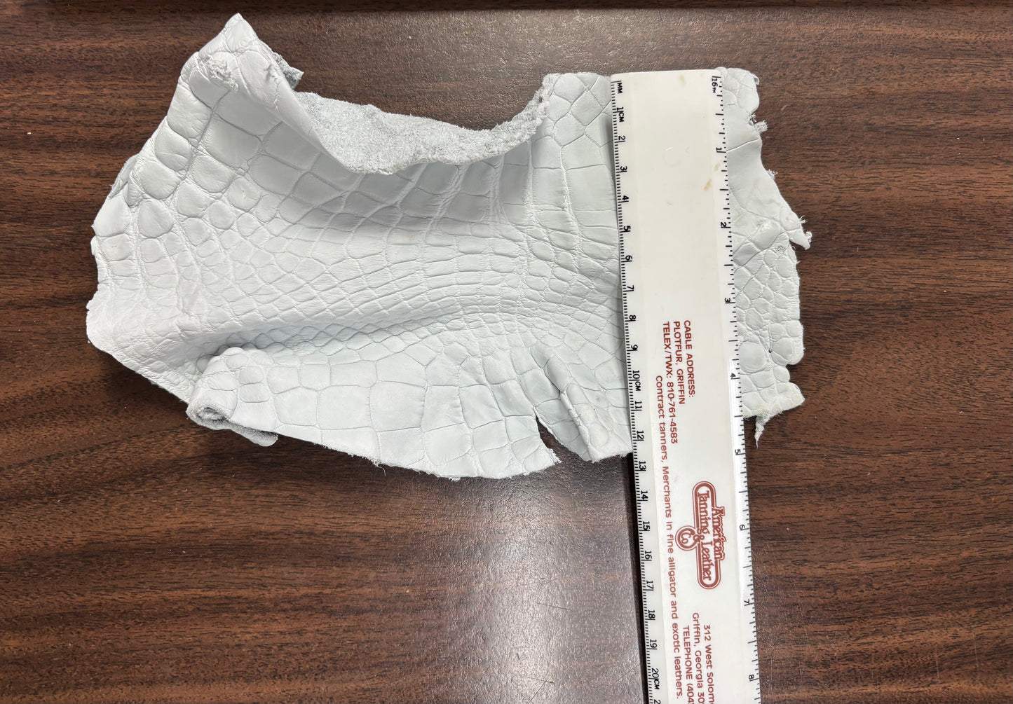 Genuine Crust Alligator Leather Scraps per Pound