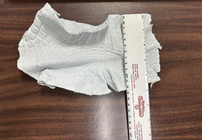 Genuine Crust Alligator Leather Scraps per Pound