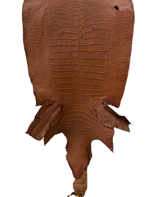 41 cm Grade 4/5 Cigar Matte Wild American Alligator Leather - Tag: LA22-0031193