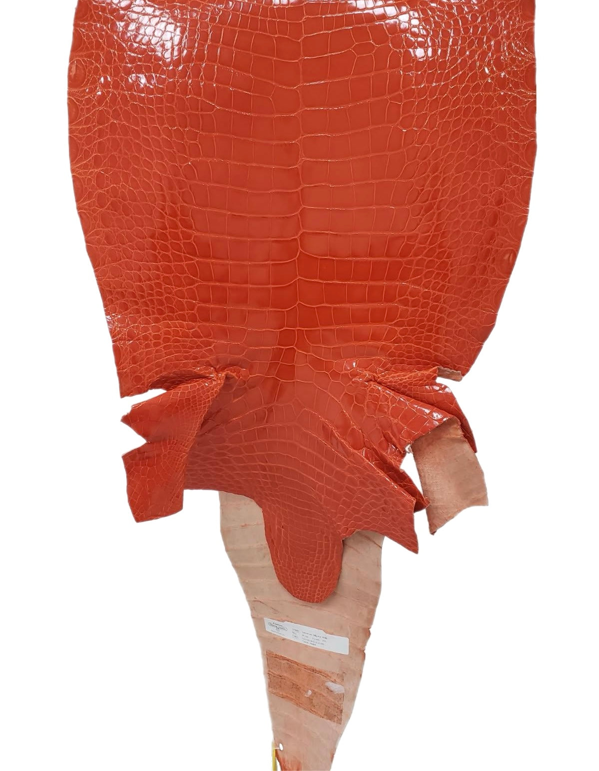 35 cm Grade 1/2 Mandarina Glazed Farm-Raised American Alligator Leather - Tag: GA13-0020501