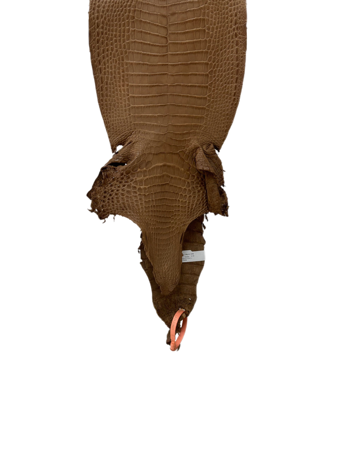 23 cm Grade 2/3 Cammello Matte Farm-Raised American Alligator Leather - Tag: LA24-0228927