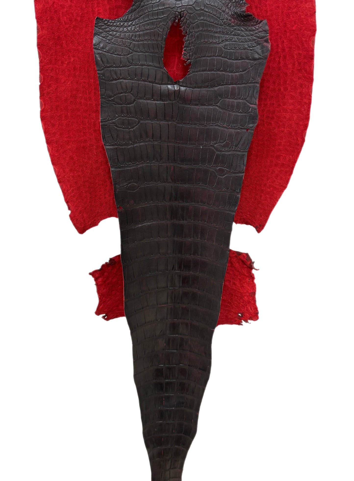 47 cm Grade 4/5 Black Cherry Matte Wild American Alligator Leather - Tag: LA24-0024170