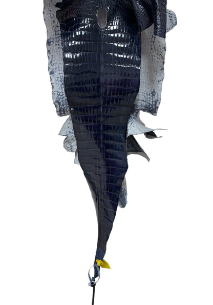 33 cm Grade 1/2 Navy Blue Glazed Wild American Alligator Leather - Tag: LA17-0038532