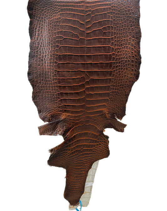 37 cm Grade 2/3 Sienna Matte Wild American Alligator Leather - Tag: ESRE-0033735