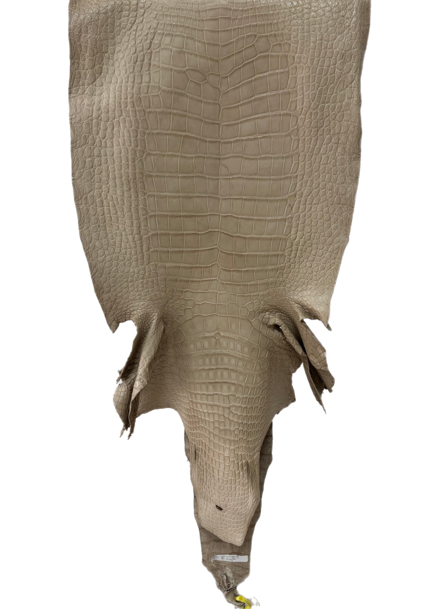 51 cm Grade 2/3 Oatmeal Matte Wild American Alligator Leather - Tag: LA25-0012827