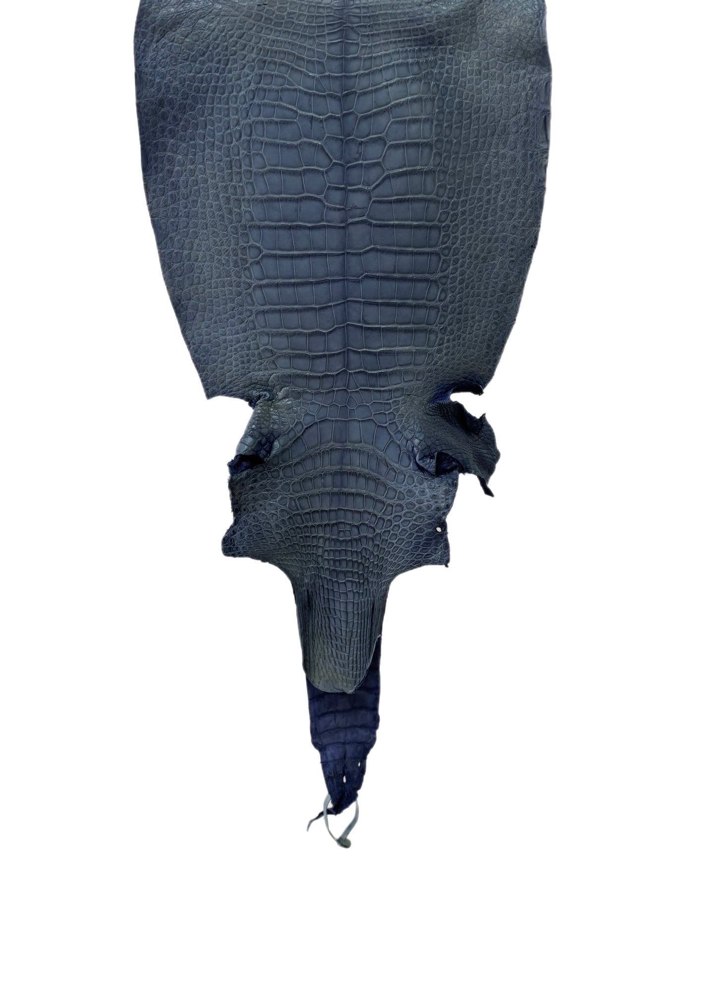 34 cm Grade 3/4 Indigo Matte Wild American Alligator Leather - Tag: LA16-0037557