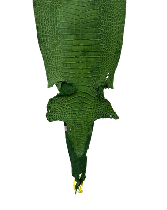 24 cm Grade 4/5 Jungle Green Matte Farm-Raised American Alligator Leather - Tag: FL22-0030259