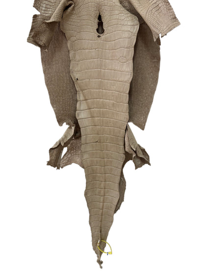 42 cm Grade 3/4 Oatmeal Matte Wild American Alligator Leather - Tag: LA25-0010643