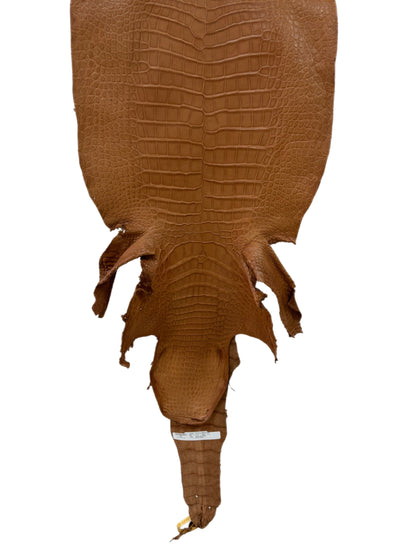 41 cm Grade 2/3 Almond Matte Wild American Alligator Leather - Tag: LA23-0027087