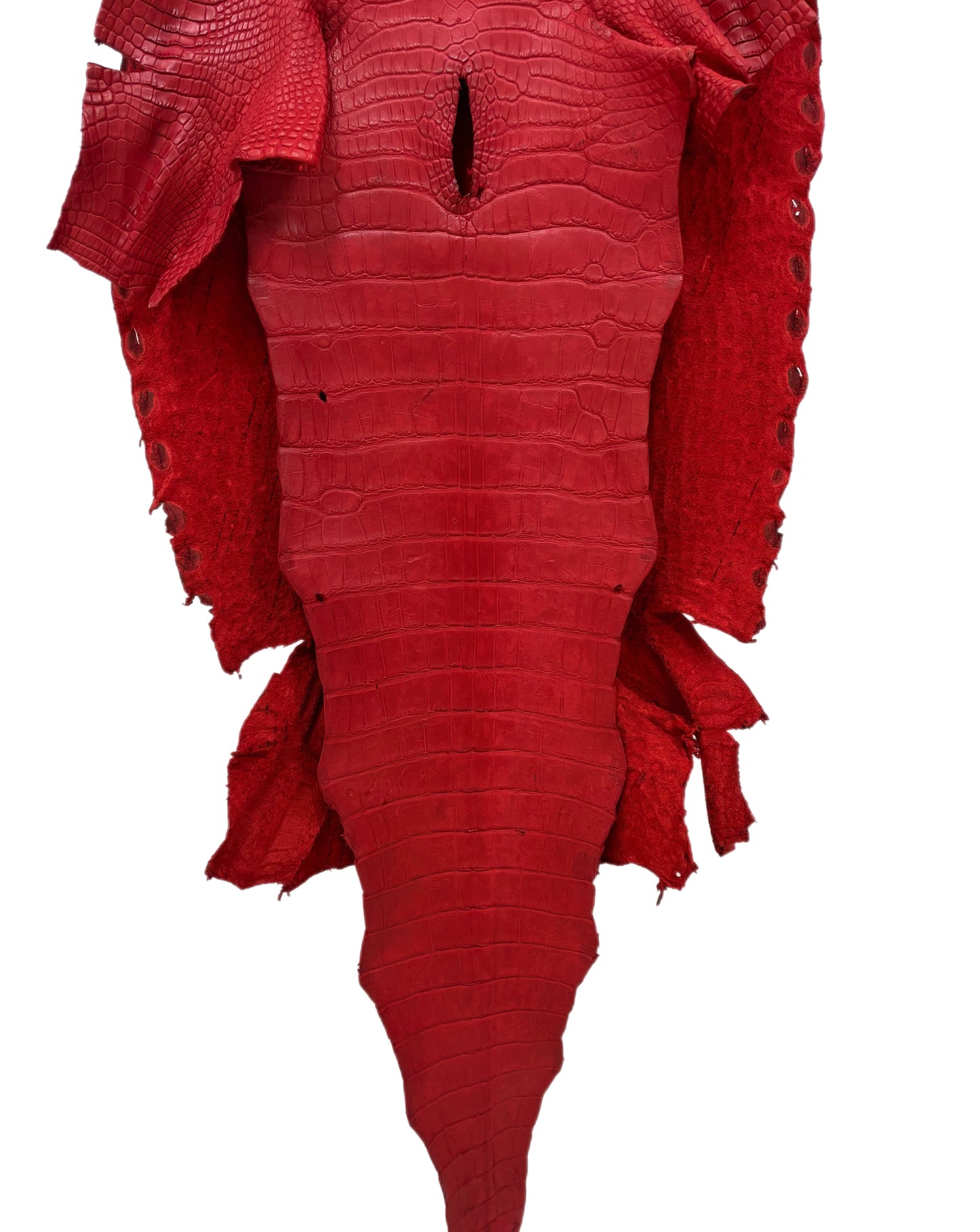 47 cm Grade 3/4 Candy Apple Red Matte Wild American Alligator Leather - Tag: LA23-0027271