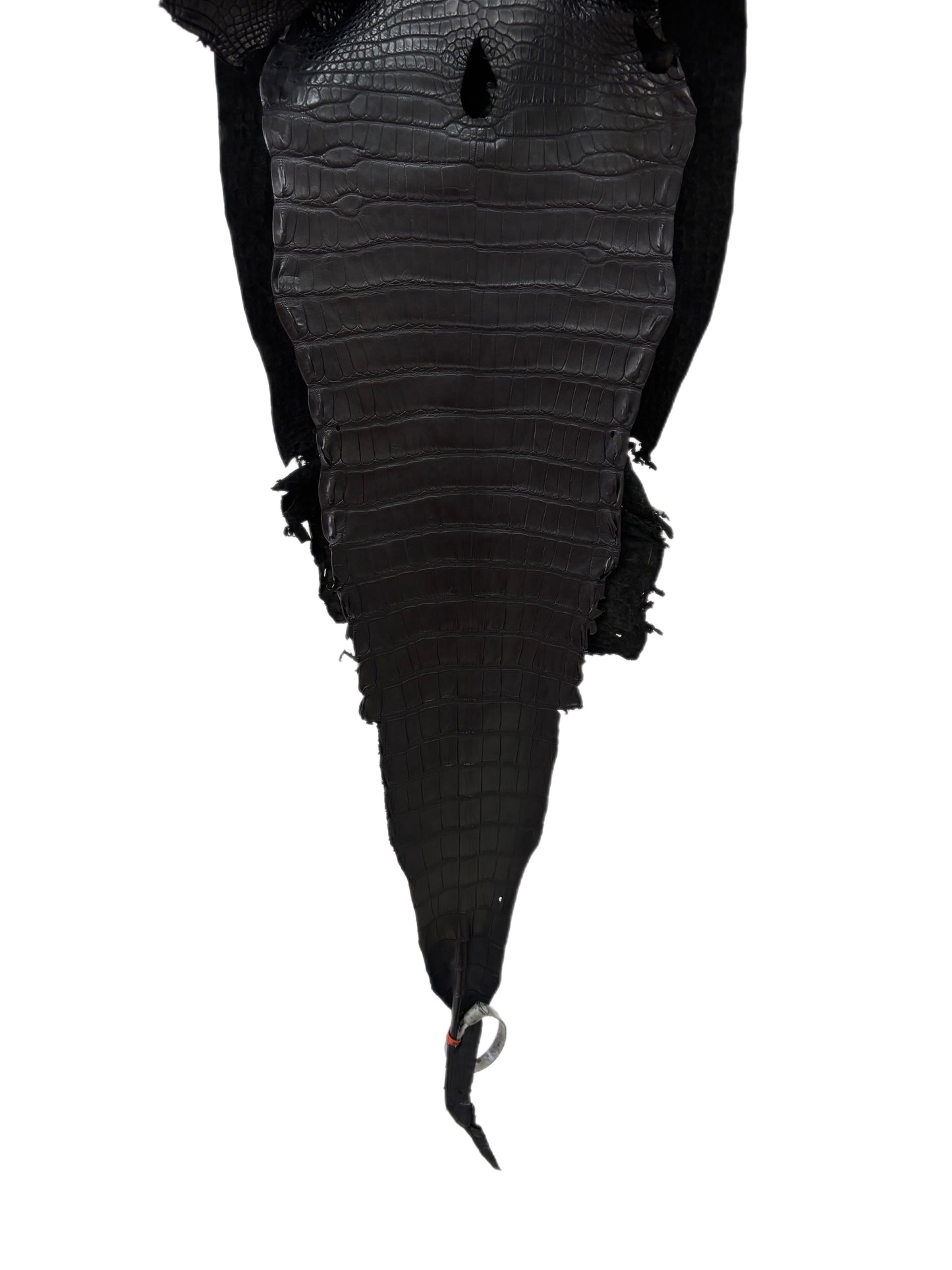 30 cm Grade 2/3 Black Matte Farm-Raised American Alligator Leather - Tag: LA23-0531785
