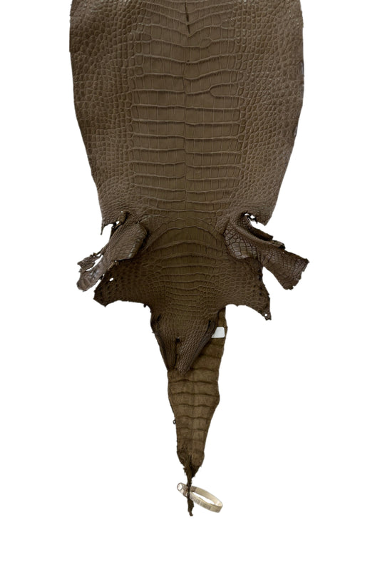 27 cm Grade 2/3 Mink Matte Wild American Alligator Leather - Tag: LA23-0051977