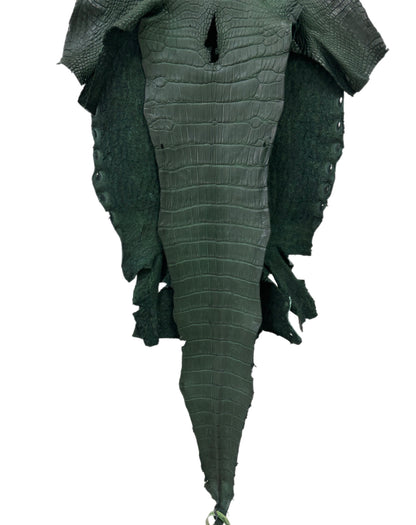 33 cm Grade 2/3 Forest Green Matte Wild American Alligator Leather - Tag: LA23-0030328