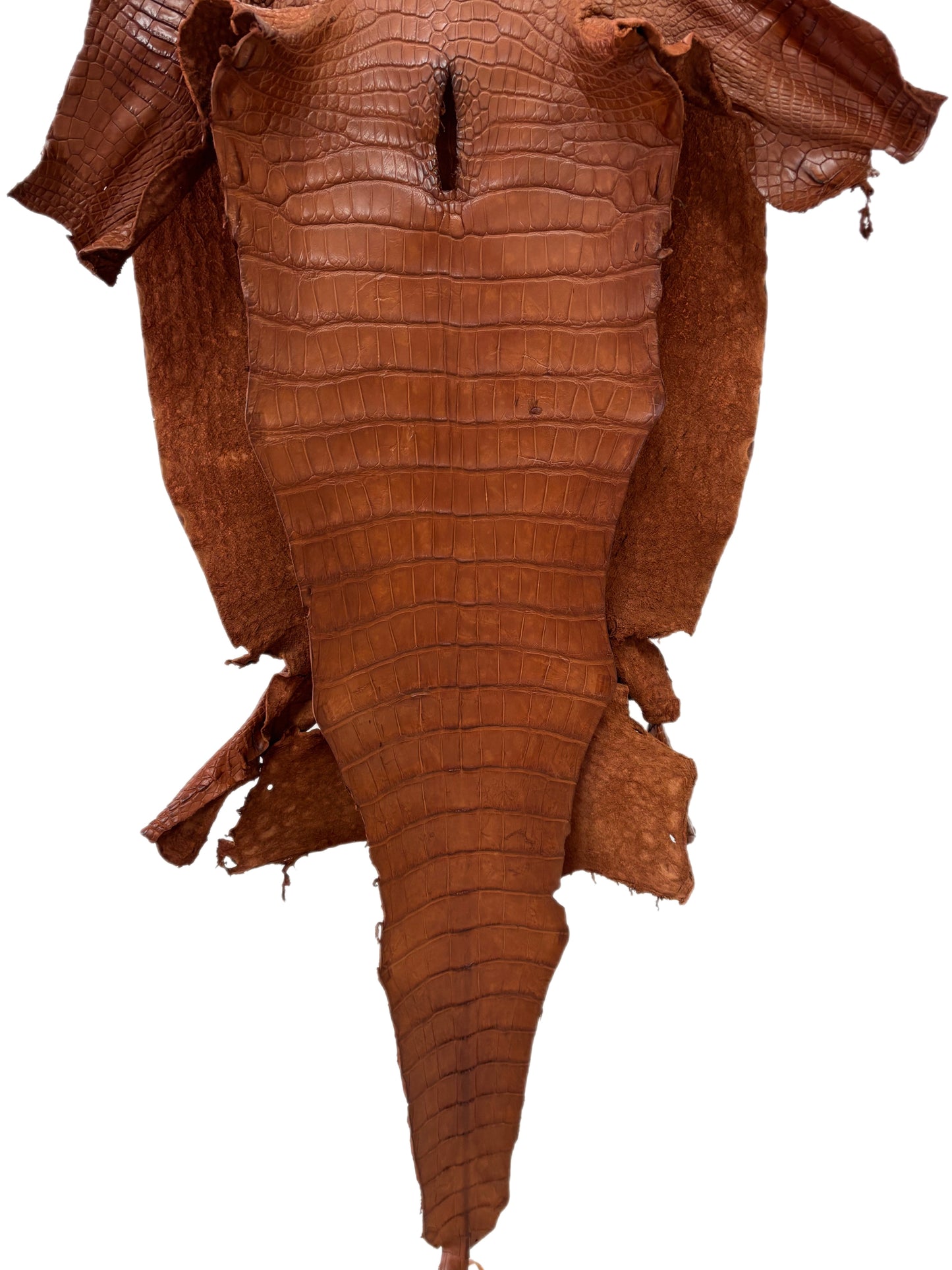 44 cm Grade 2/3 Cognac Matte Wild American Alligator Leather - Tag: LA24-0039939