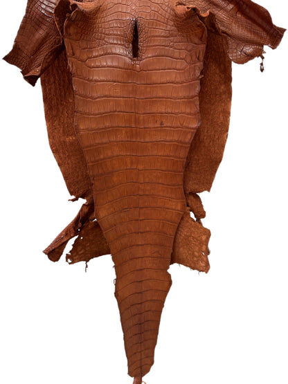 44 cm Grade 2/3 Cognac Matte Wild American Alligator Leather - Tag: LA24-0039939