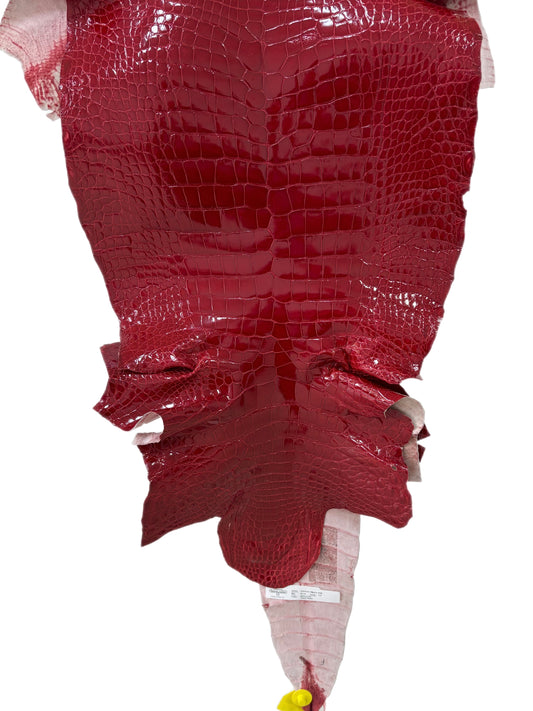 39 cm Grade 1/2 Red Glazed Wild American Alligator Leather - Tag: LA15-0032696