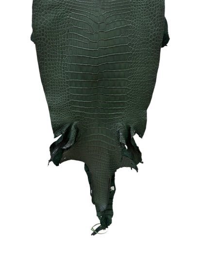 39 cm Grade 2/3 Forest Green Matte Wild American Alligator Leather - Tag: LA23-0033909
