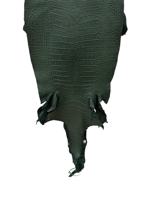 39 cm Grade 2/3 Forest Green Matte Wild American Alligator Leather - Tag: LA23-0033909