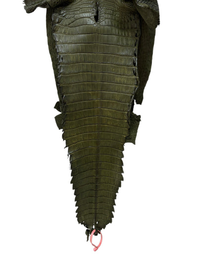 30 cm Grade 1/2 Olive Matte Farm-Raised American Alligator Leather - Tag: FL21-0024379